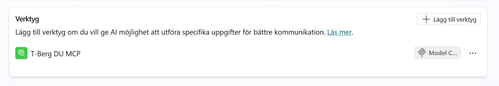 Agentens verktyg med T-Berg DU MCP